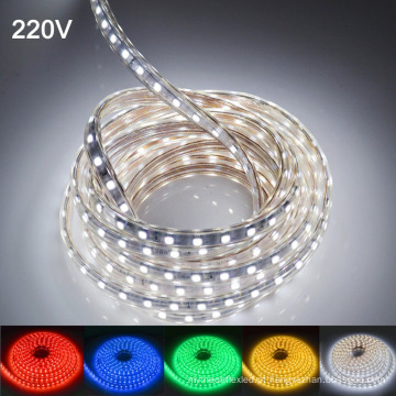 60leds / m 5050SMD LED 5050 impermeável IP67 AC 220V LED luz Strip com ficha de alimentação